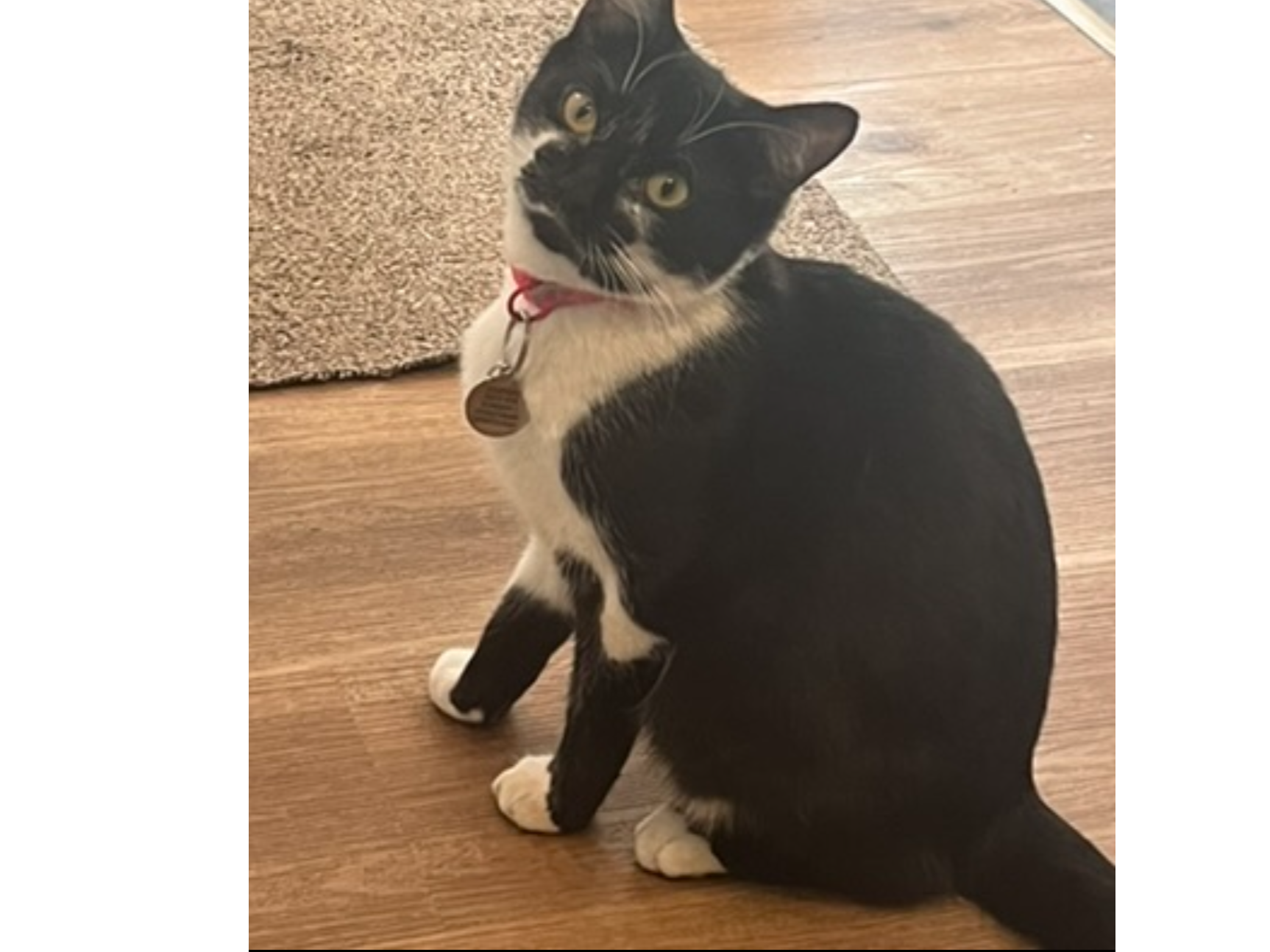 LOST 25-025 Minnie