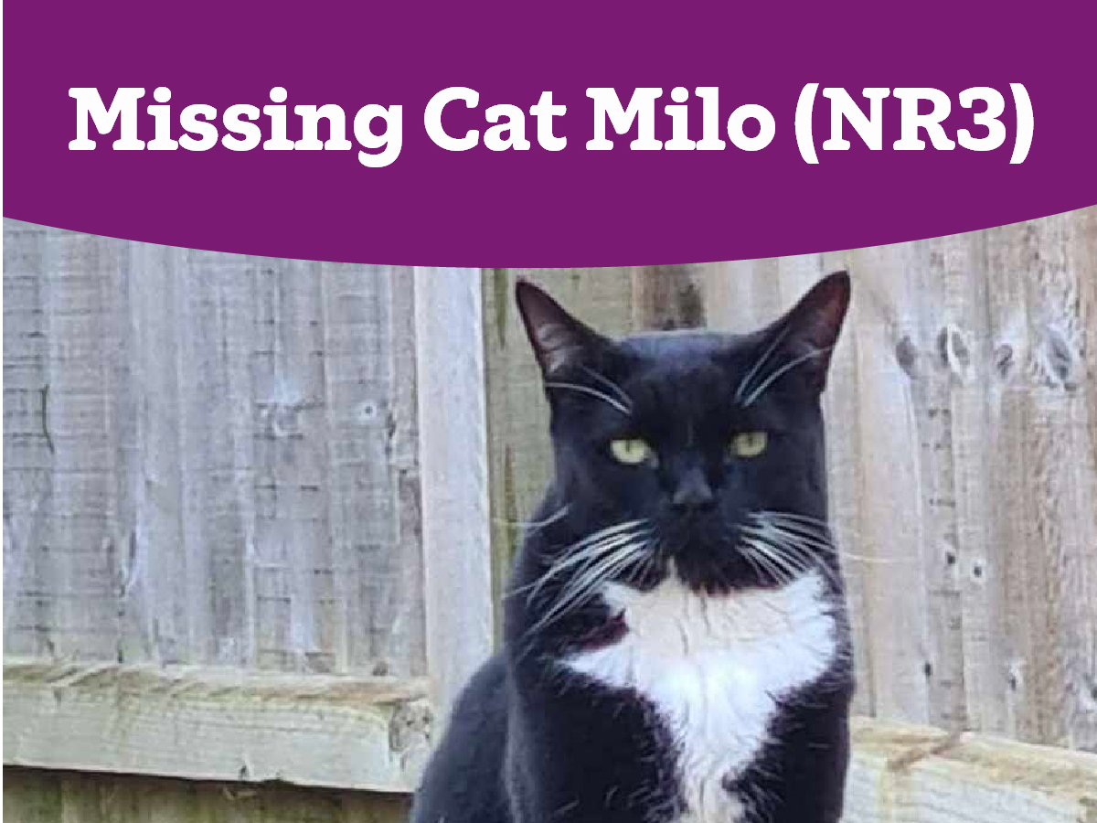 Missing in NR3 area