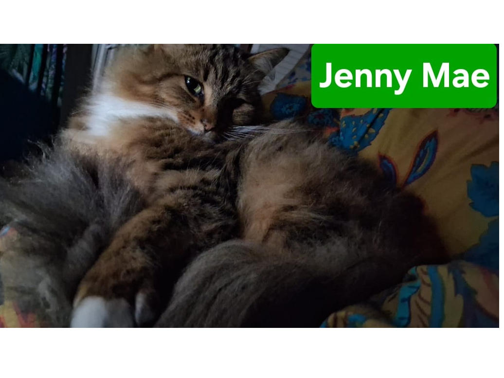 Jenny Mae