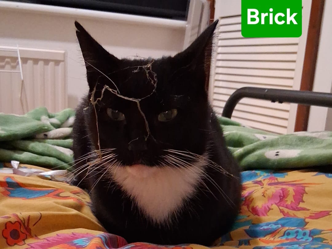 Brick