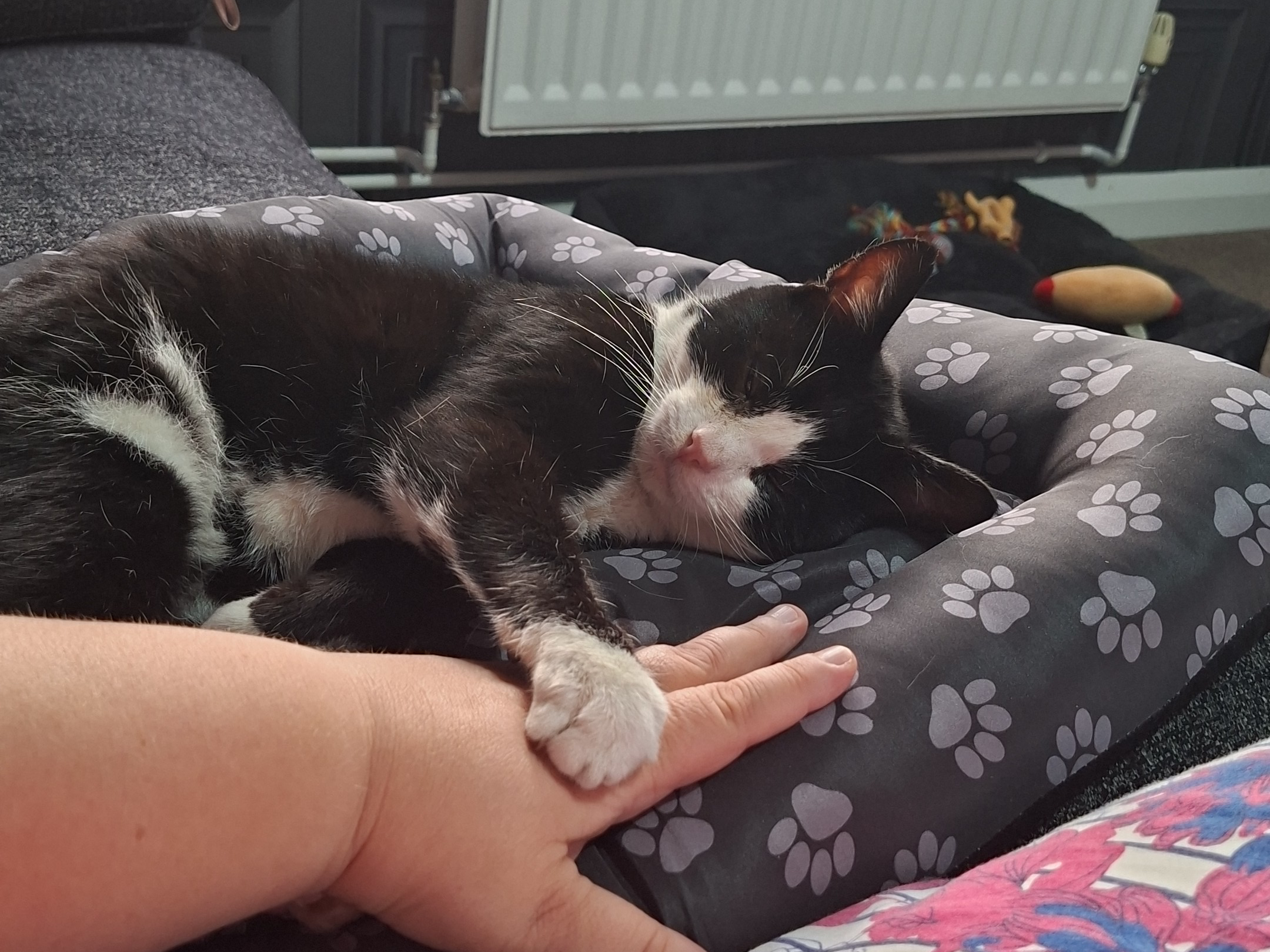 L539 - ALLENTON - black and white