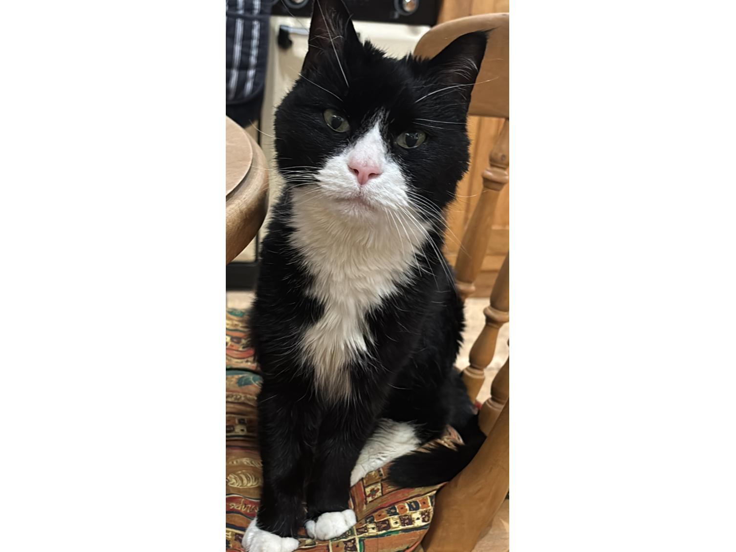 L573 - black & white male - LITTLEOVER