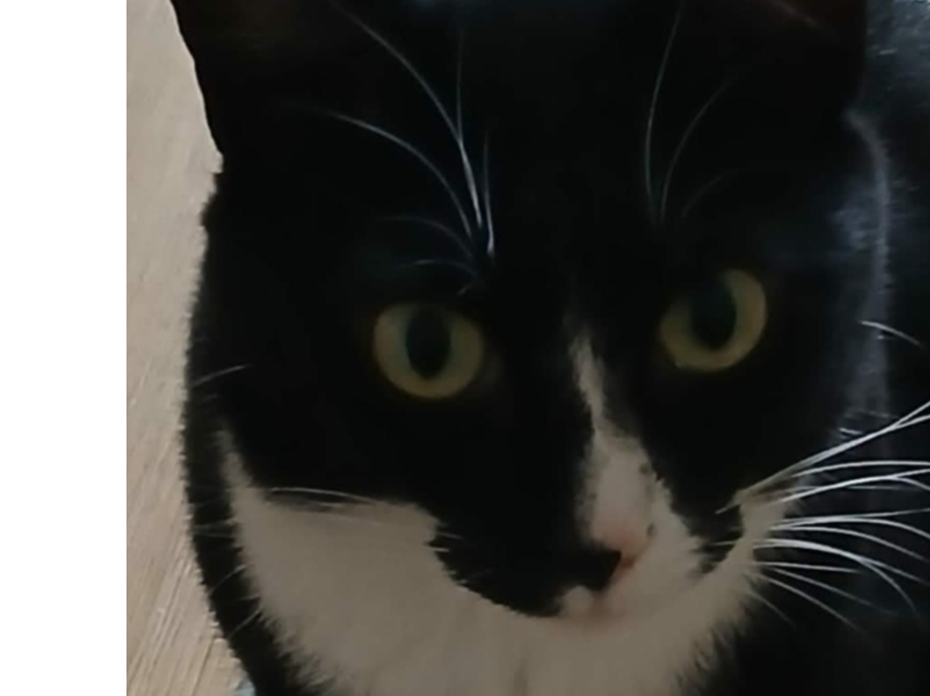 RUPERT Black and white male