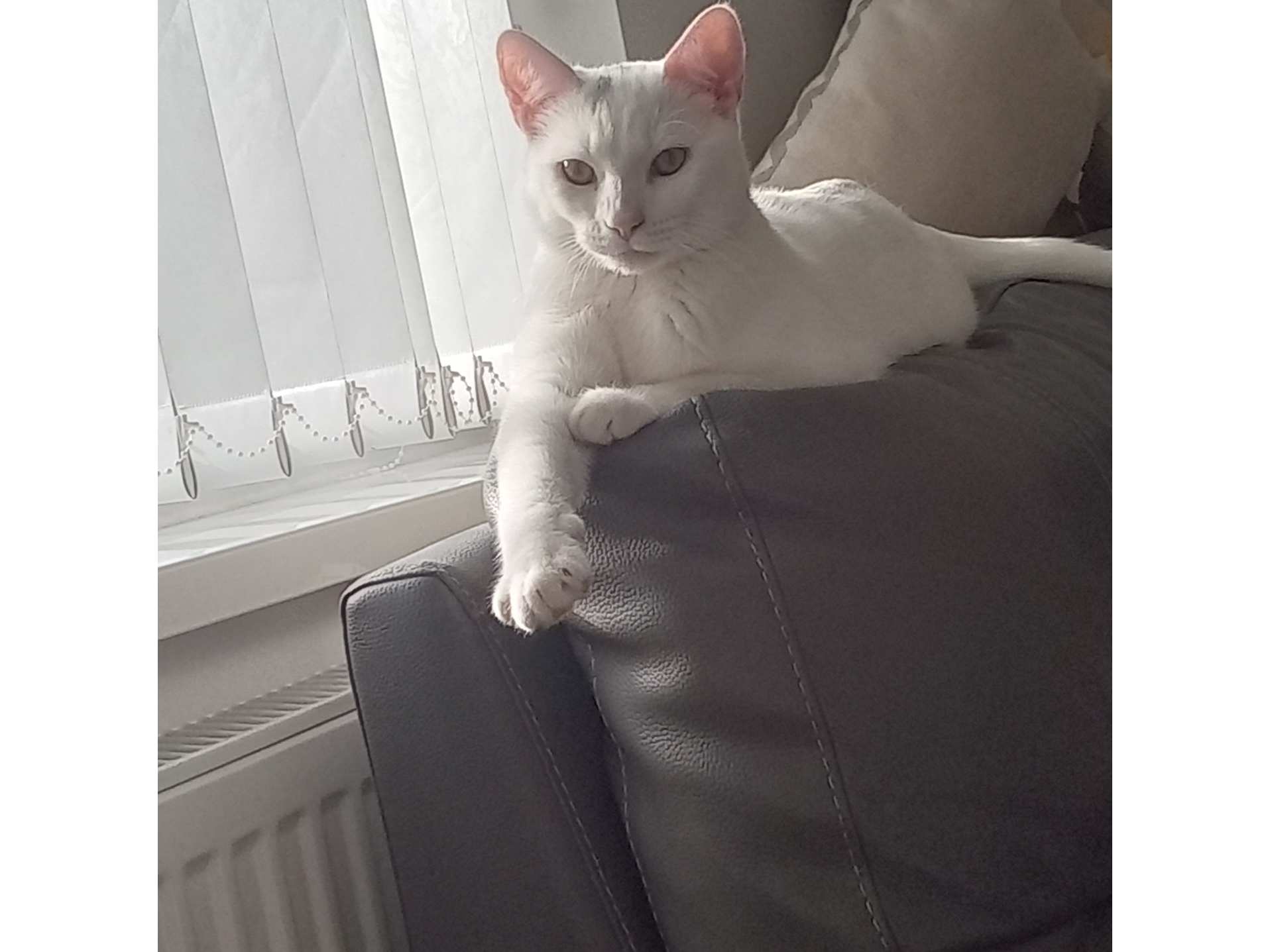 L581 - white male - DERBY