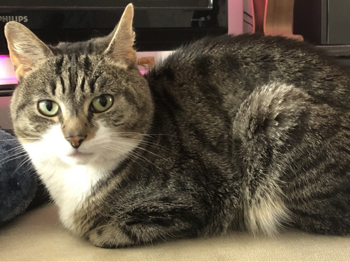 788280 - Missing in South Lynn