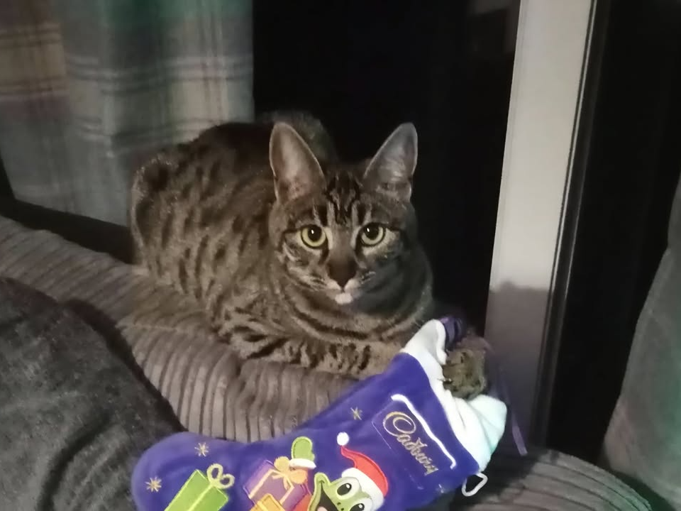 Luna