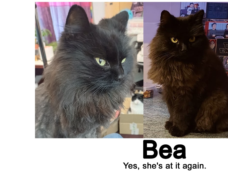 BEA - Black female