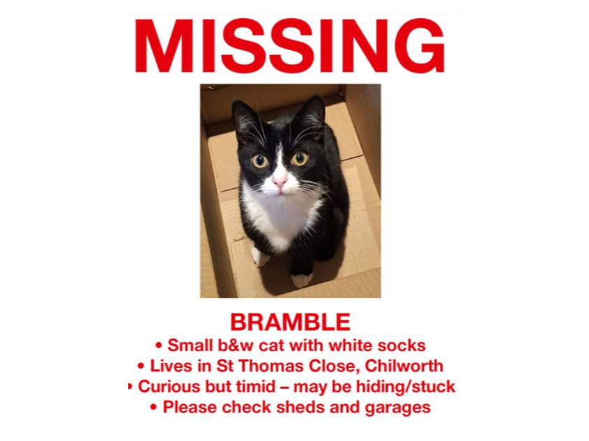 Bramble