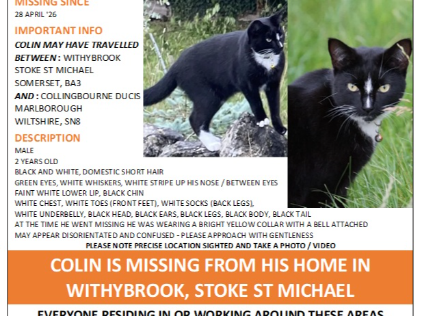 Colin - missing Stoke St Michael