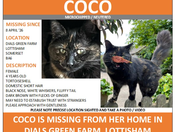 Coco