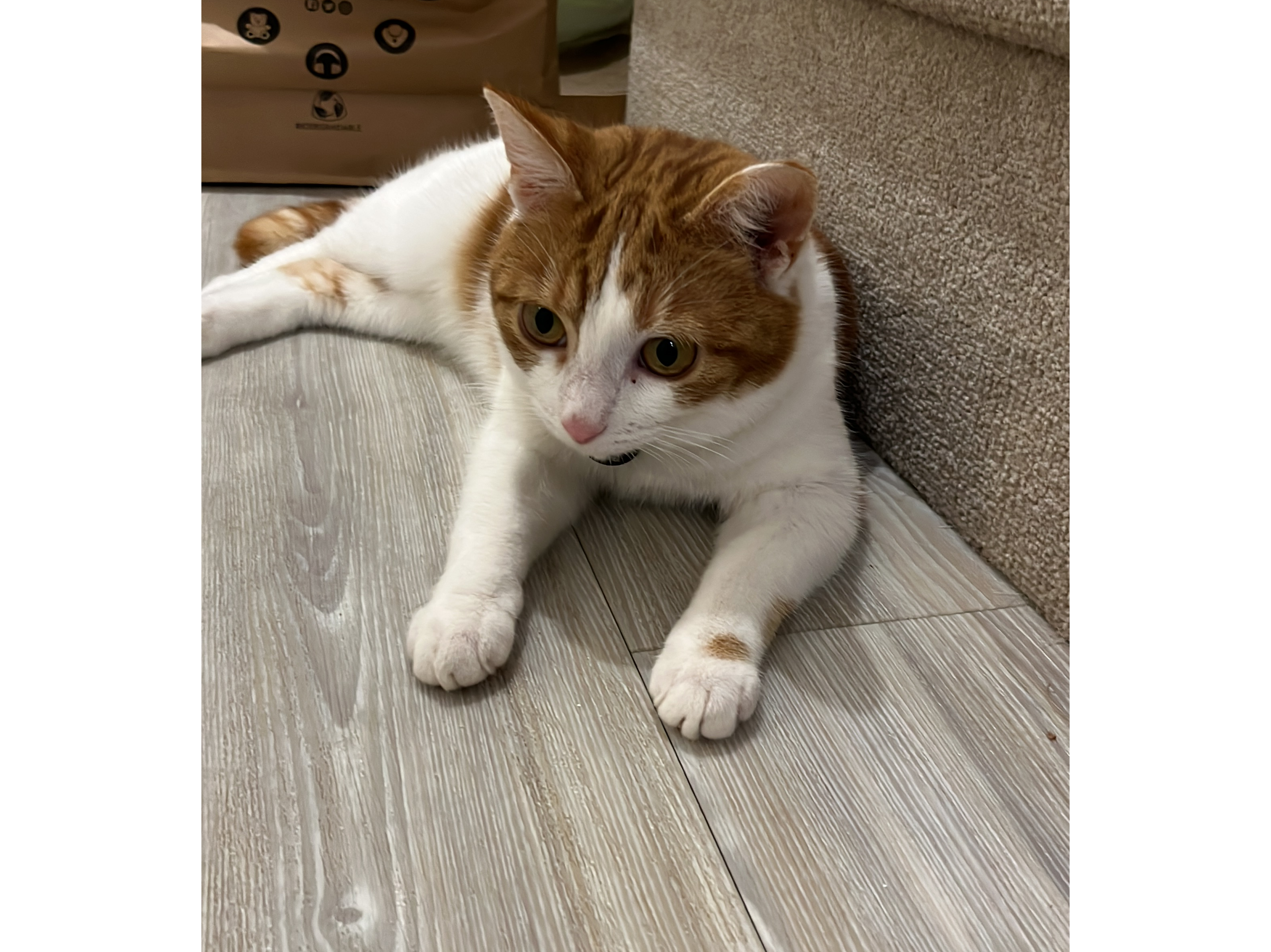 Sid