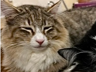 Bill