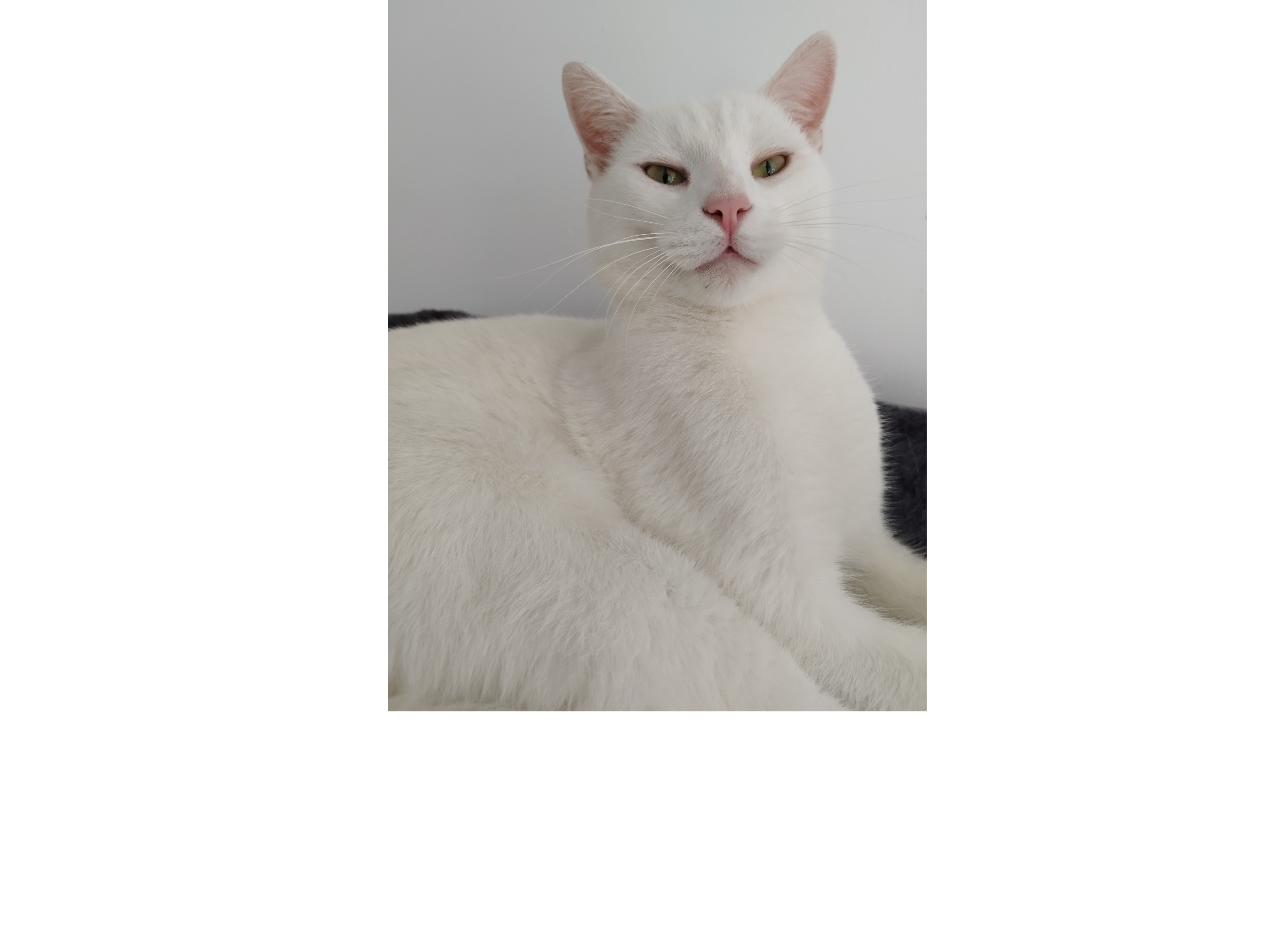 L613 - white male - ASHBOURNE