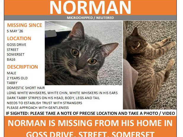 Norman - missing Street
