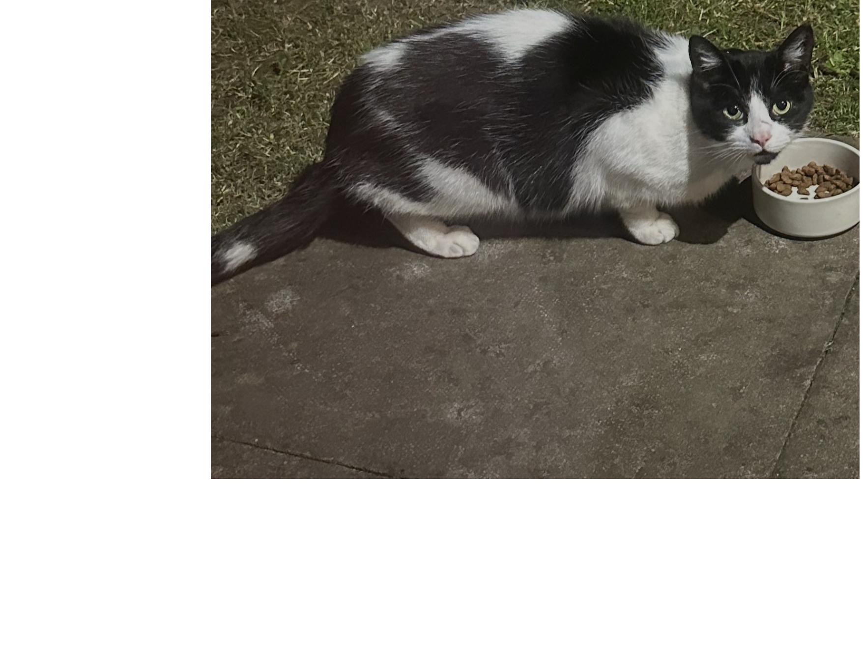 L617 - black & white male - ALLESTREE