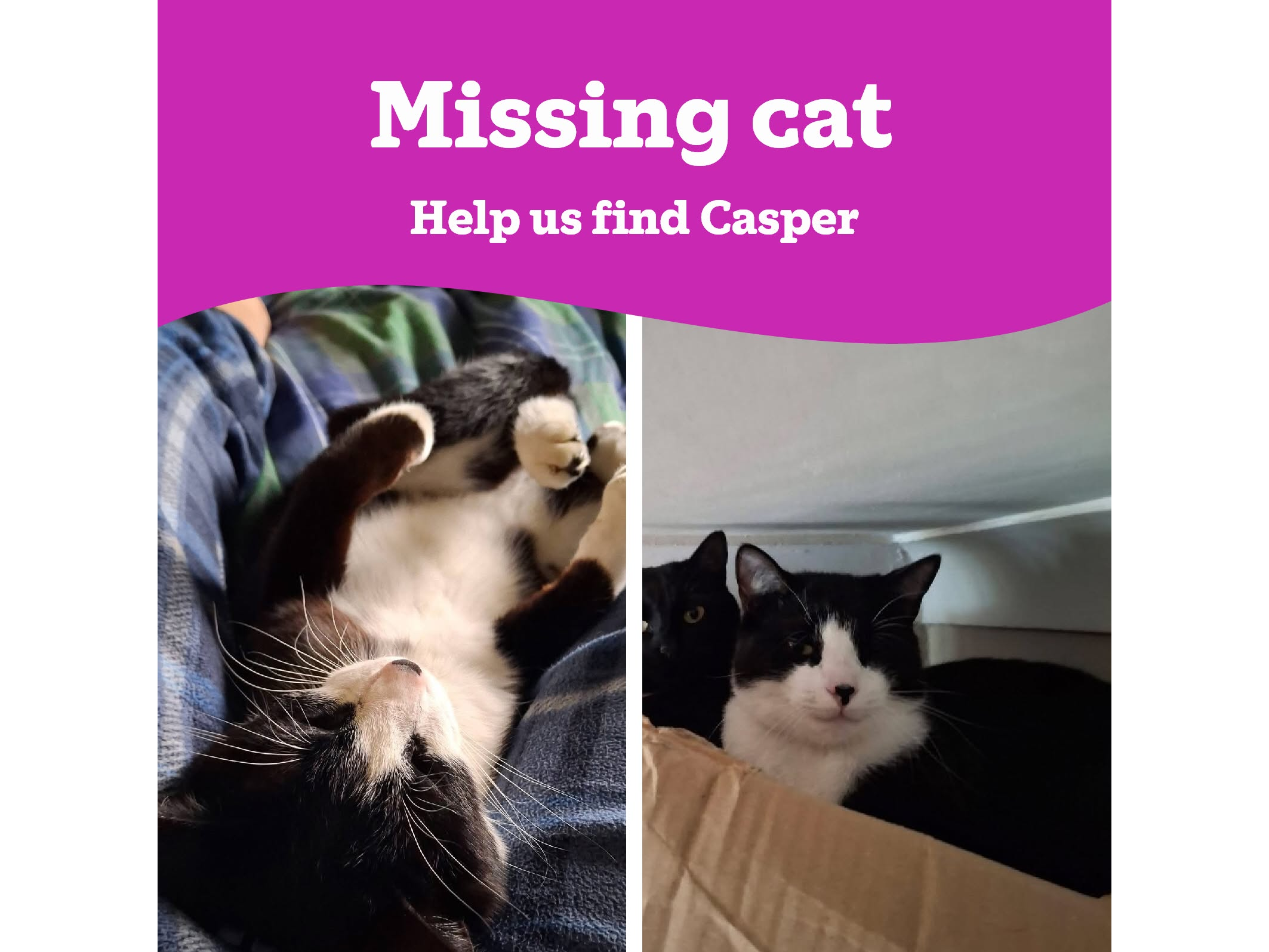 Casper