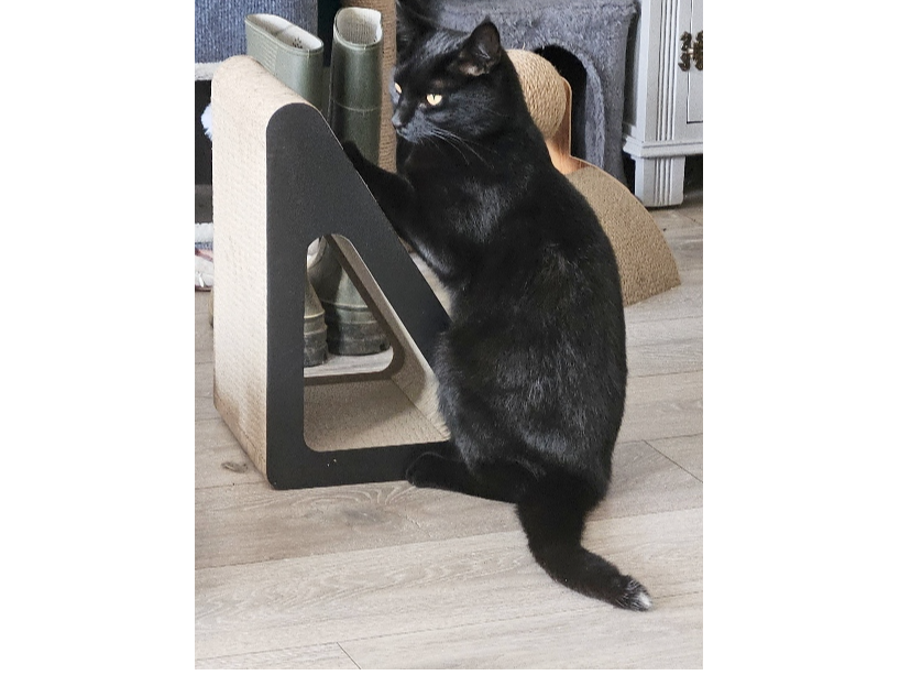 Max Lost 2026.042 - Wheeler Close, off Dukes Road, Gosport