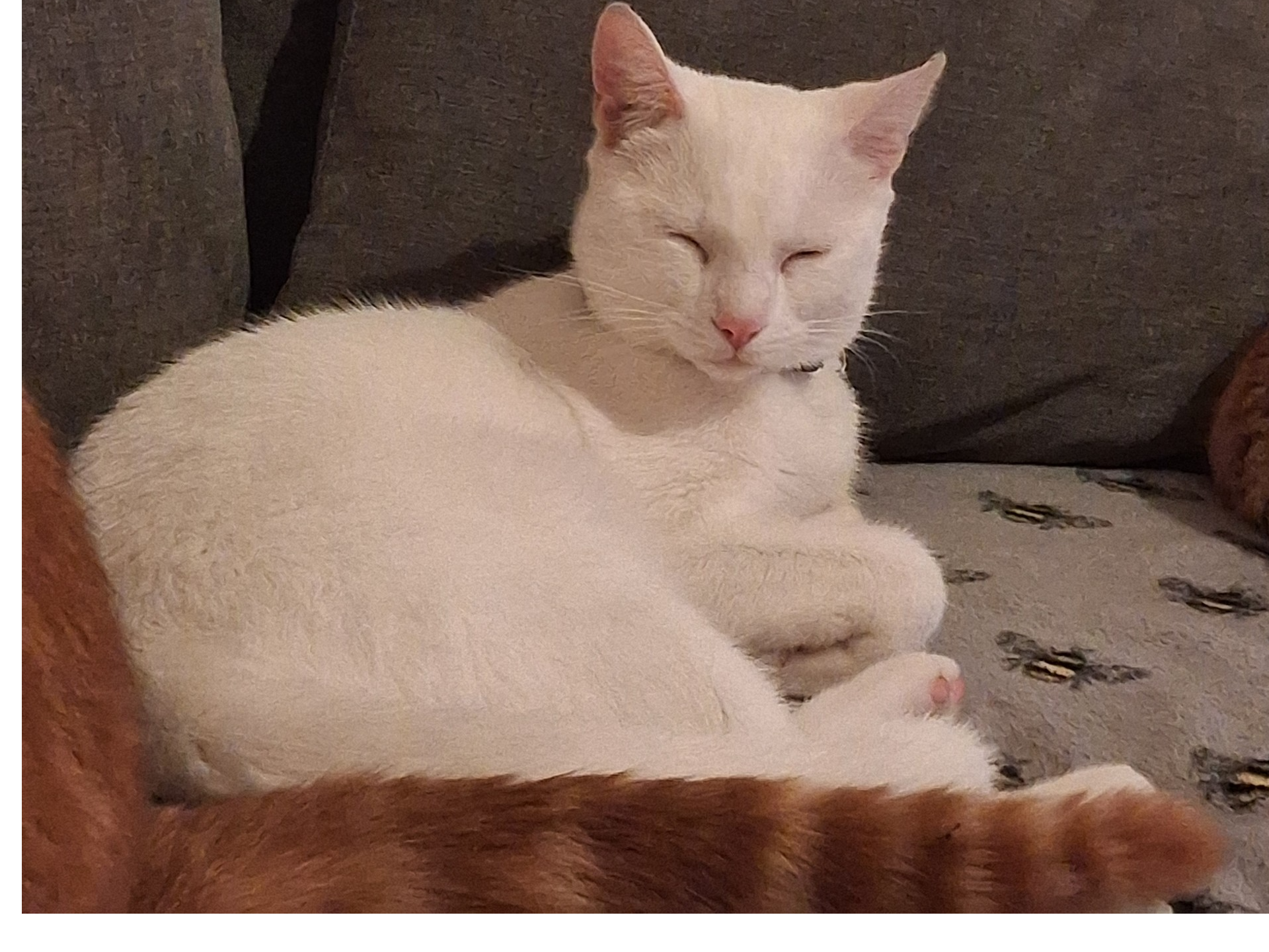 L634 - white male - SINFIN