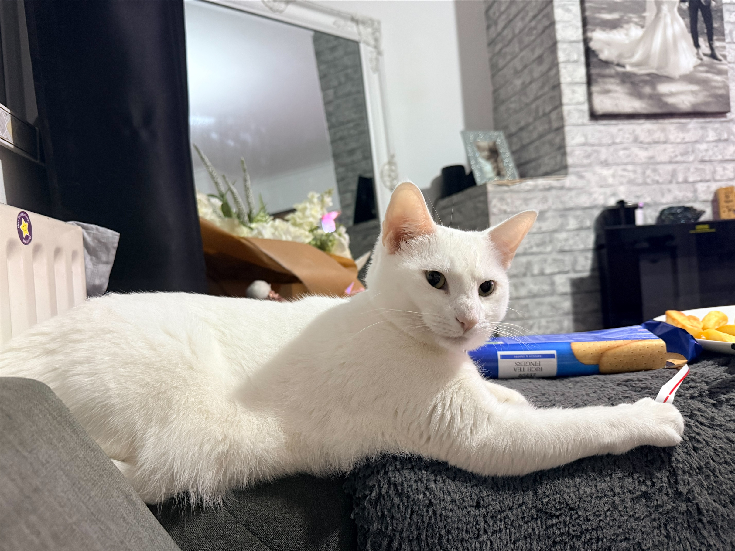 White Cat - L630S