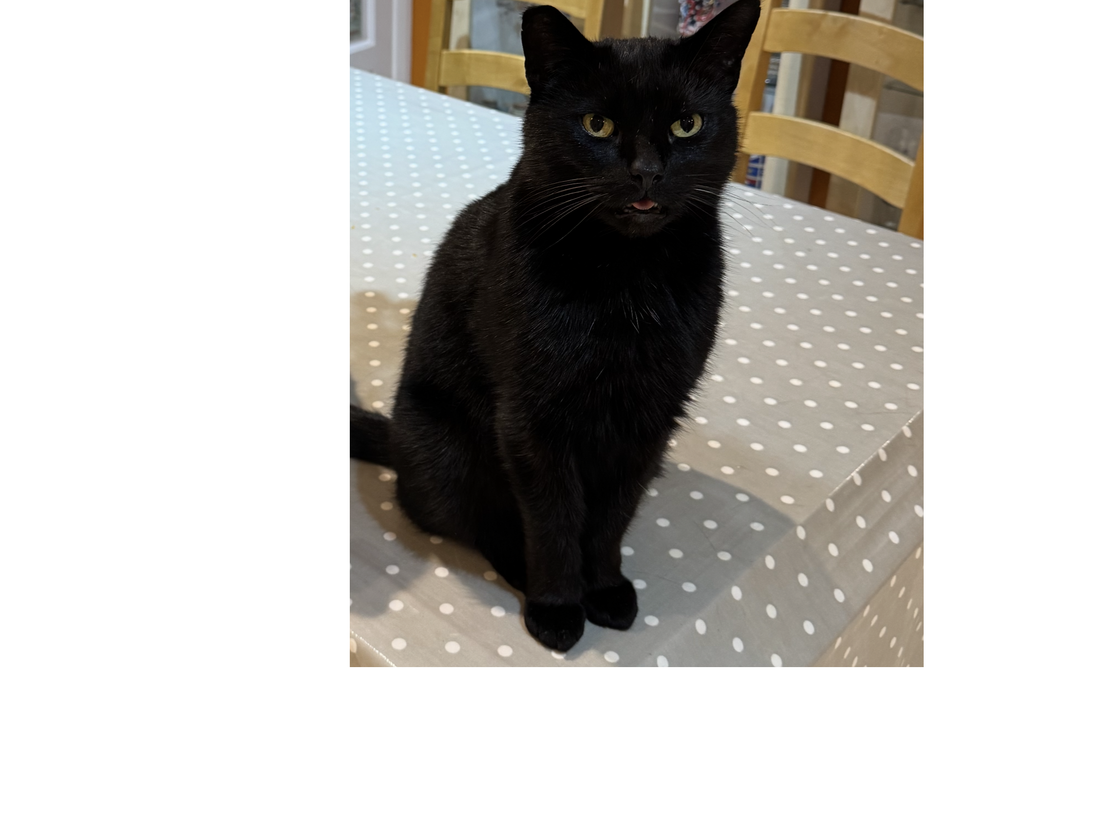 L658 - black male - DUFFIELD