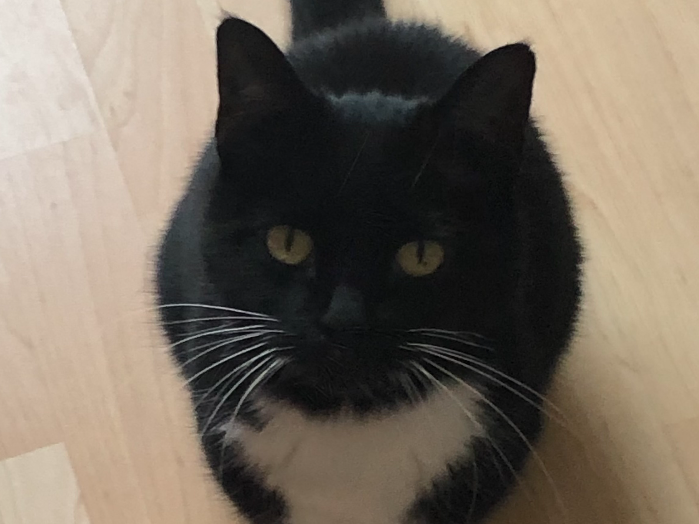 Missie