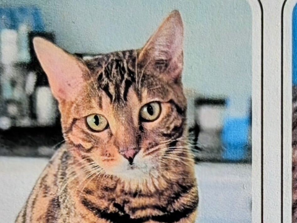 Mia