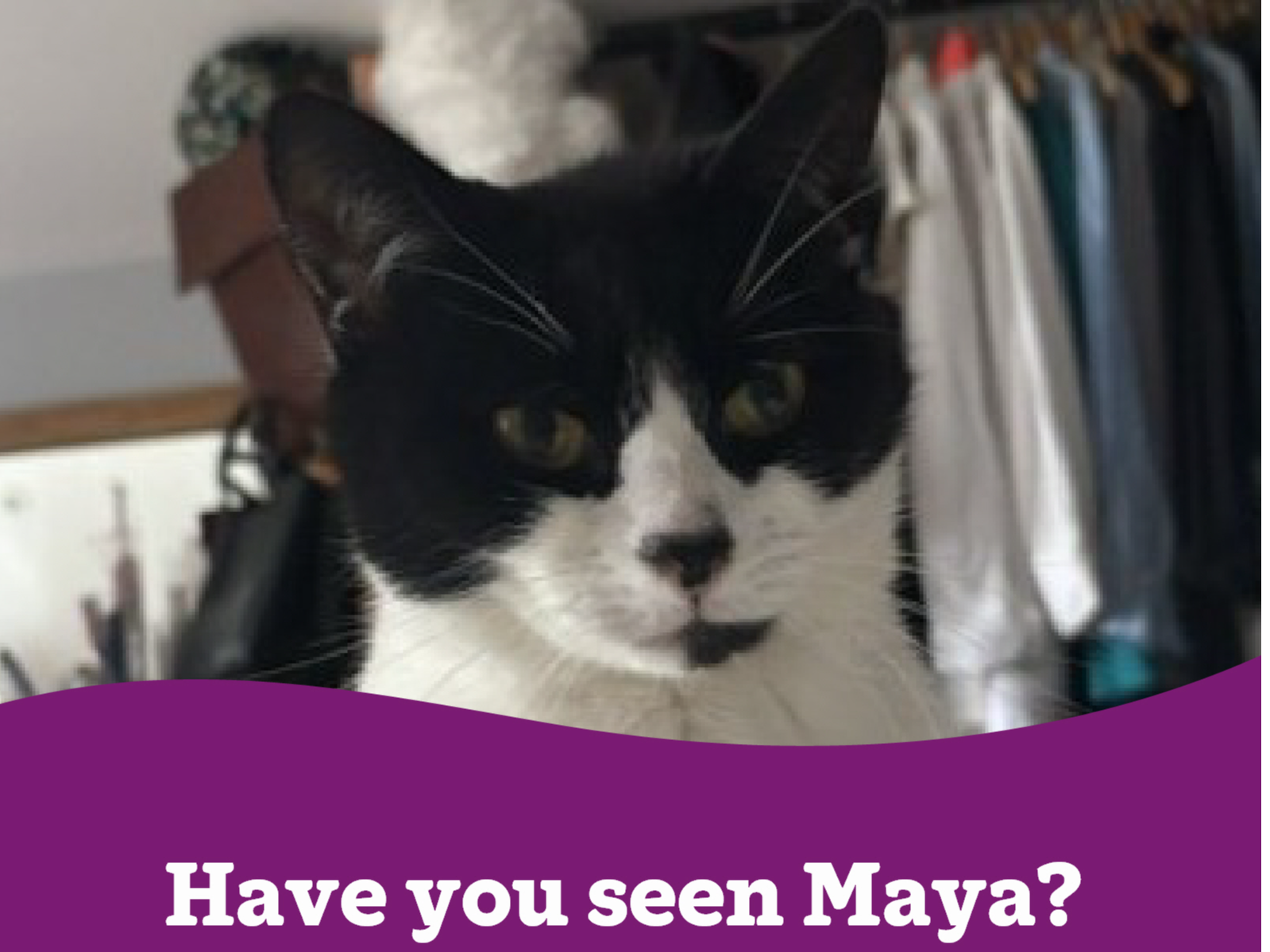 Maya