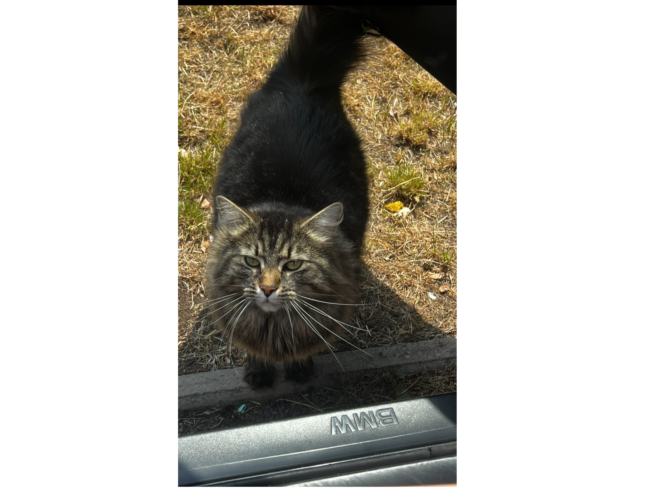 LOST 26-052 Keeka