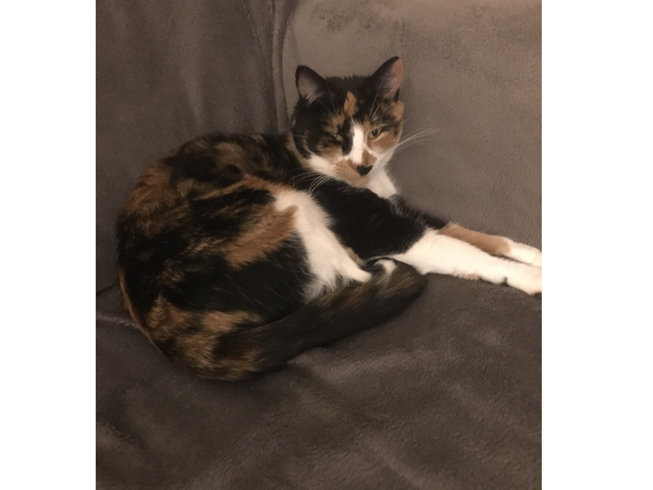Roxy