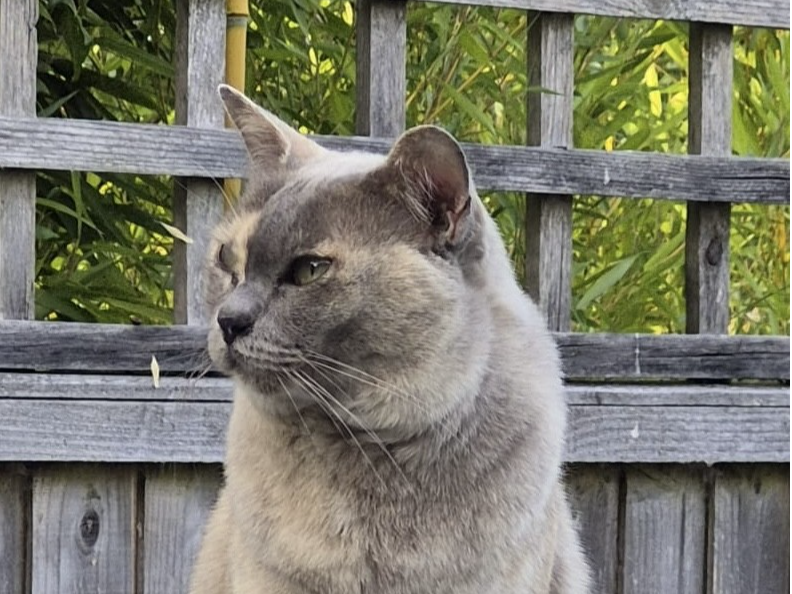 Lucy