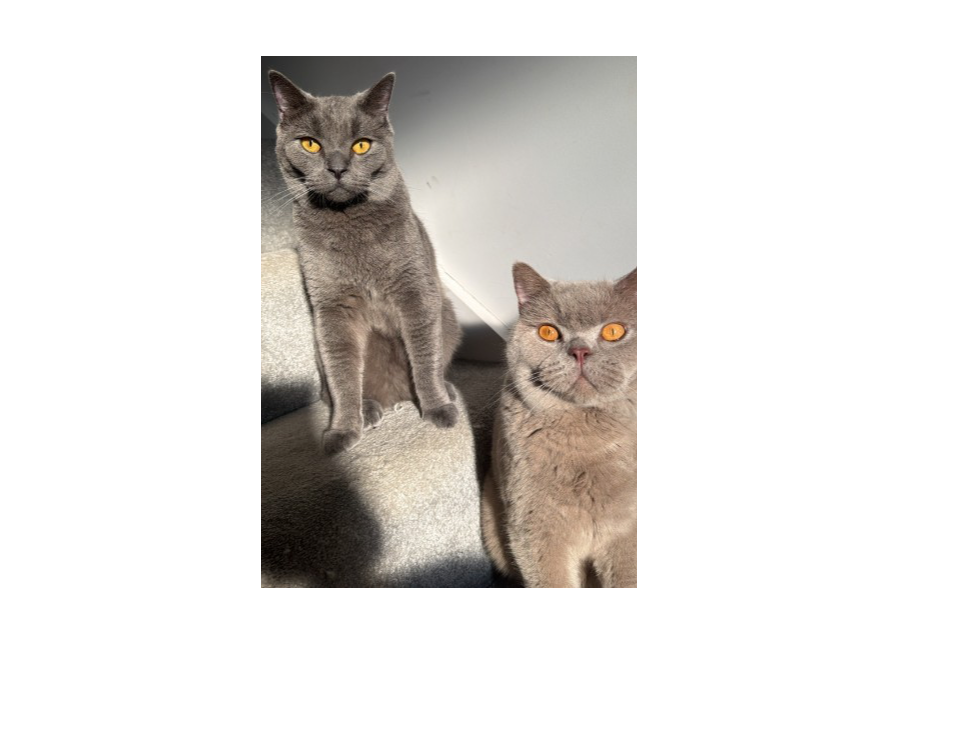 Dolph and Lucky