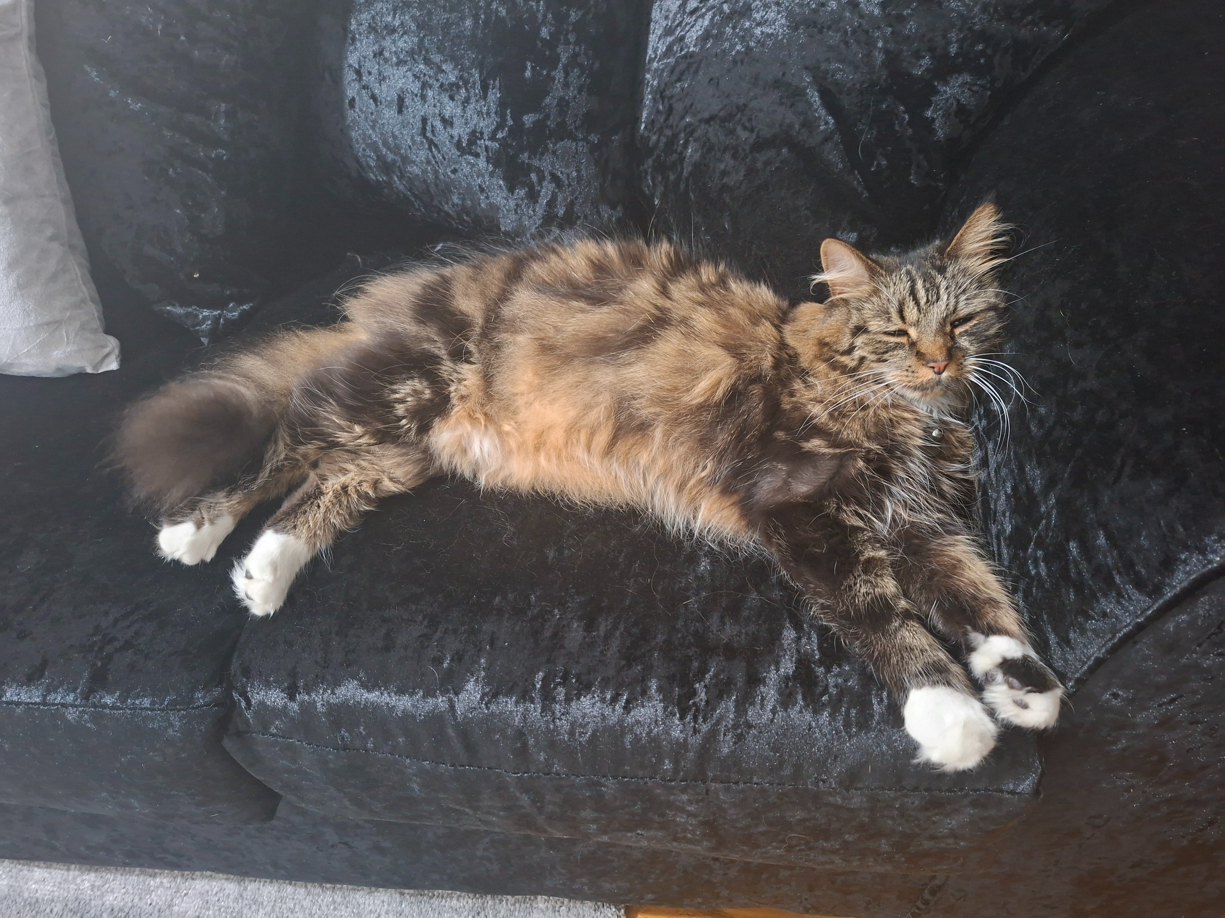 Ezra - Tolworth