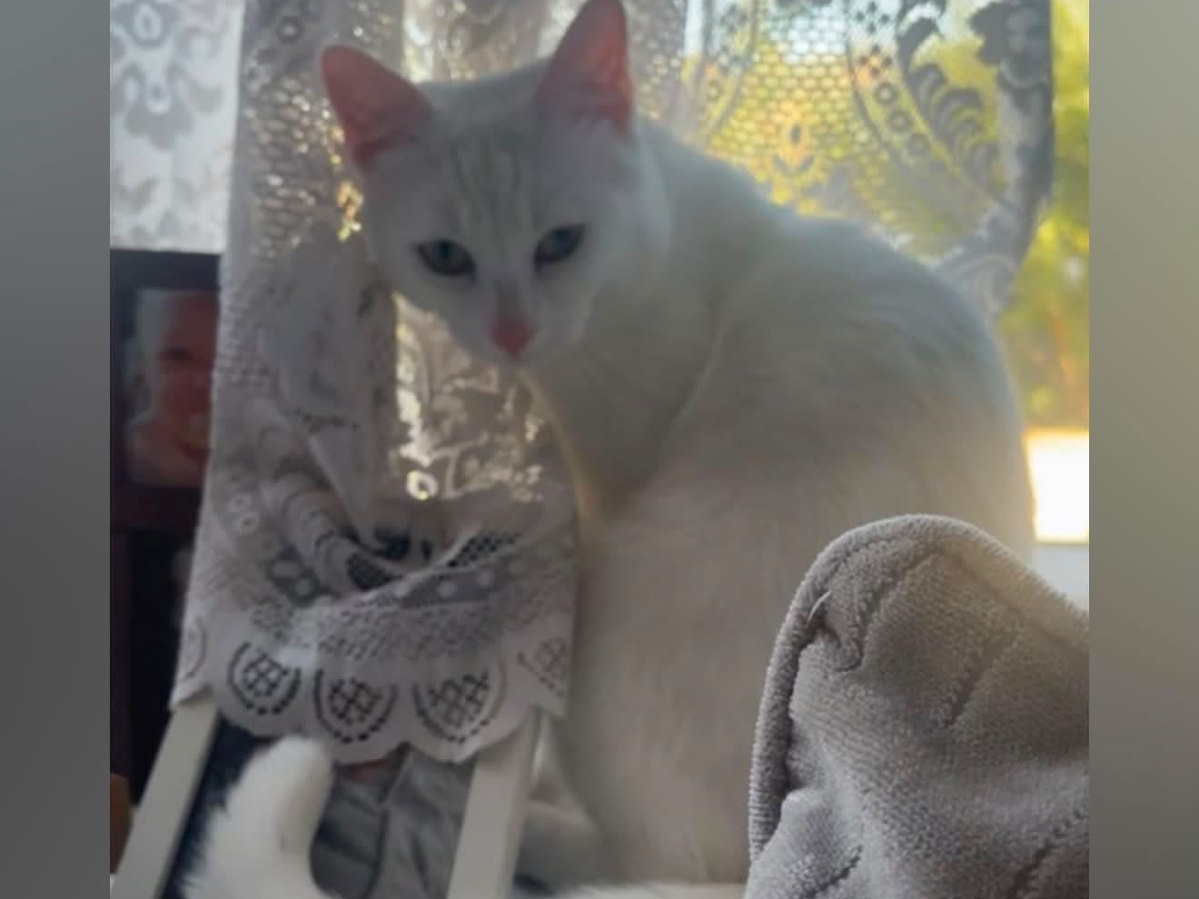 L712 – white male - CHADDESDEN