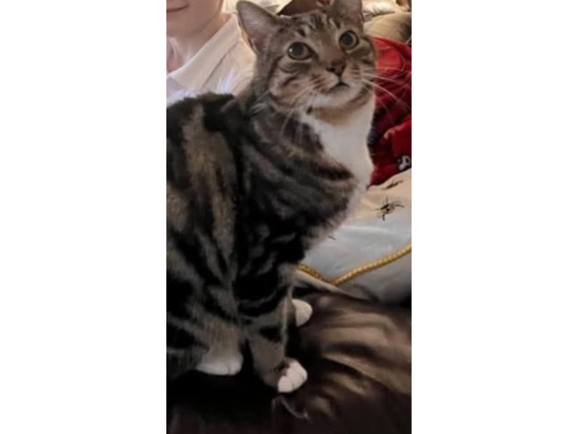 Otis