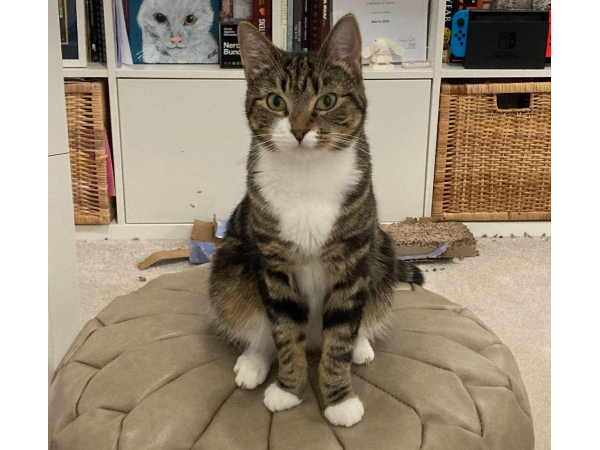 Luna