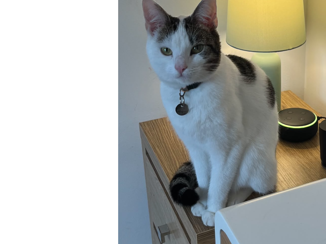 Maggie