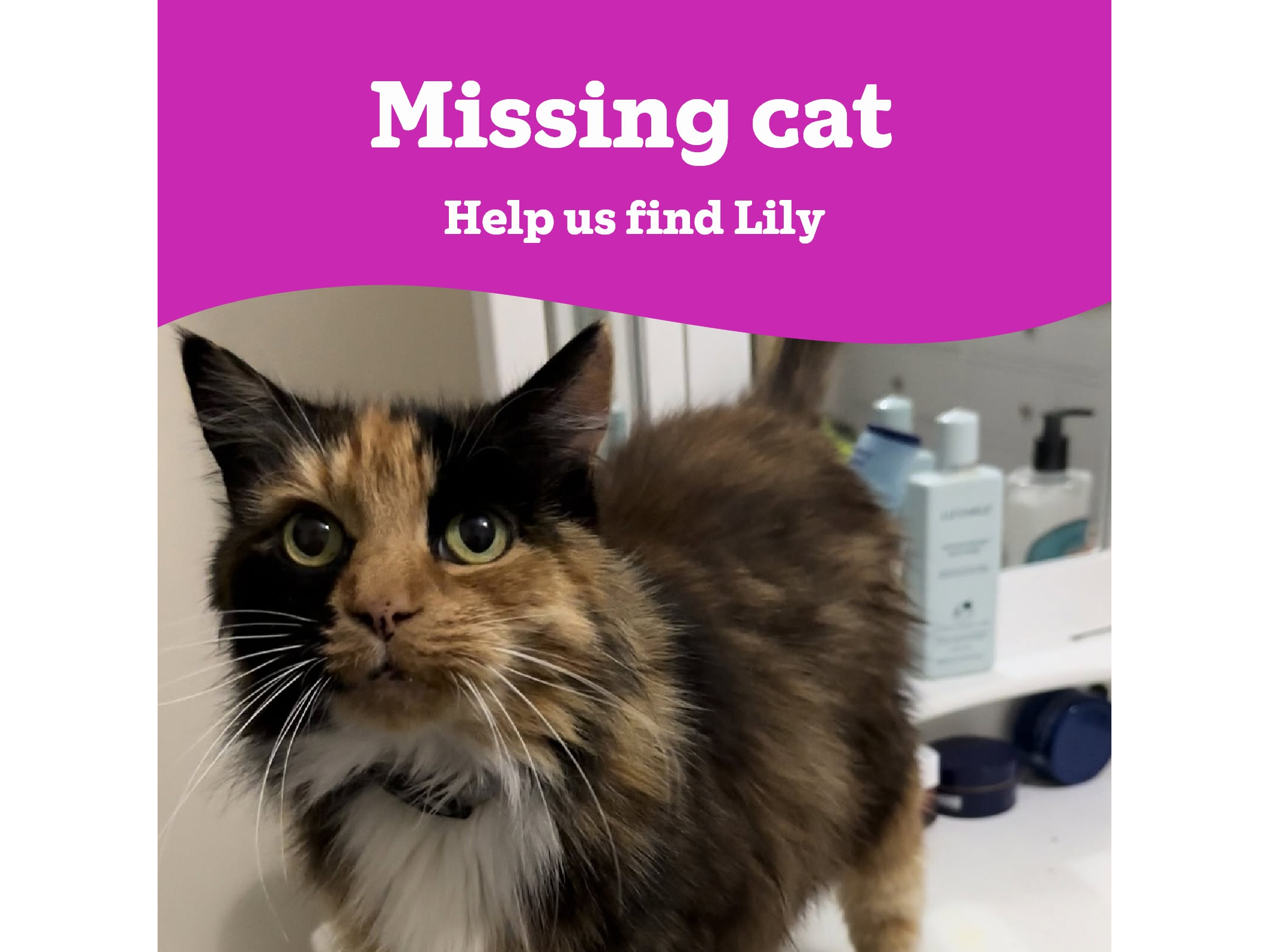 Lily