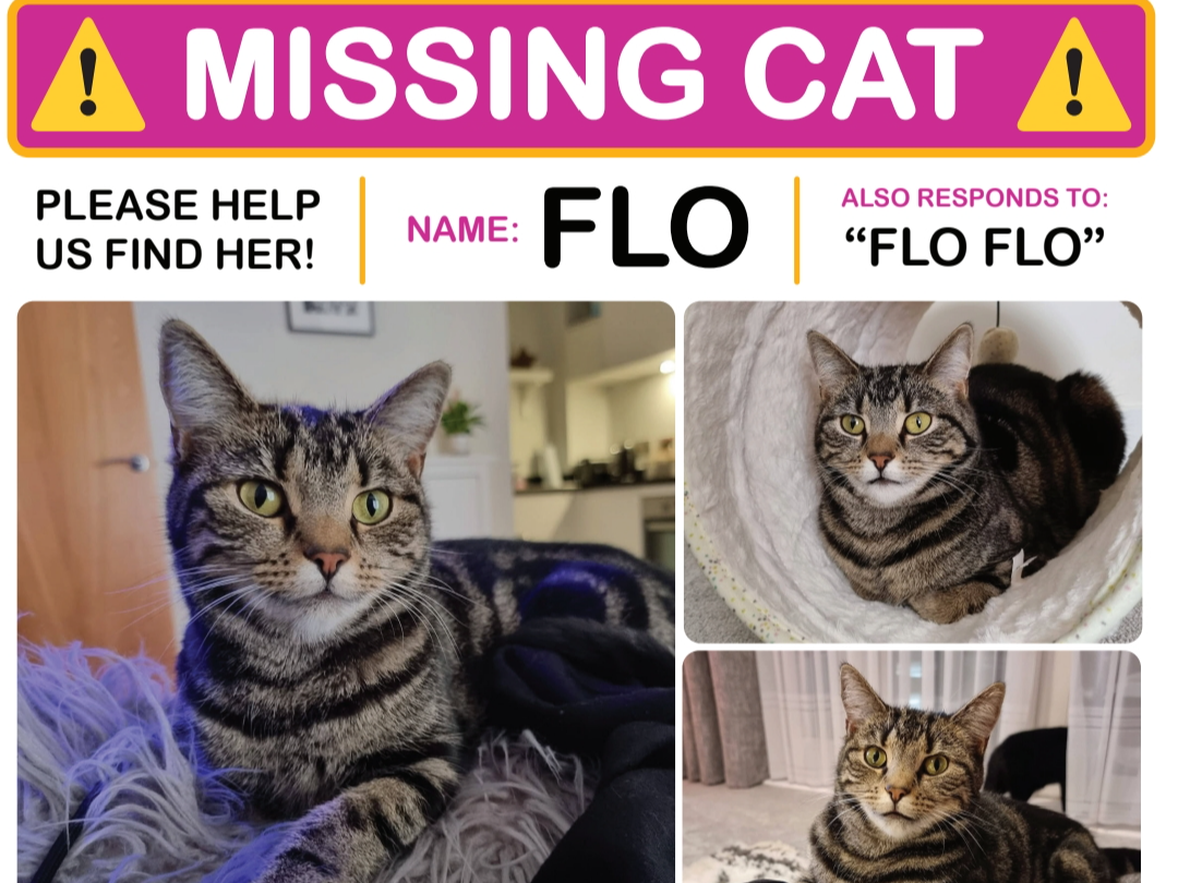 Flo