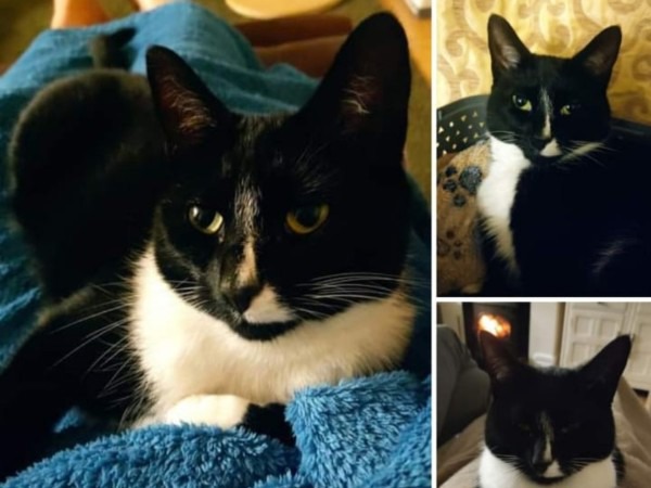 Mittens