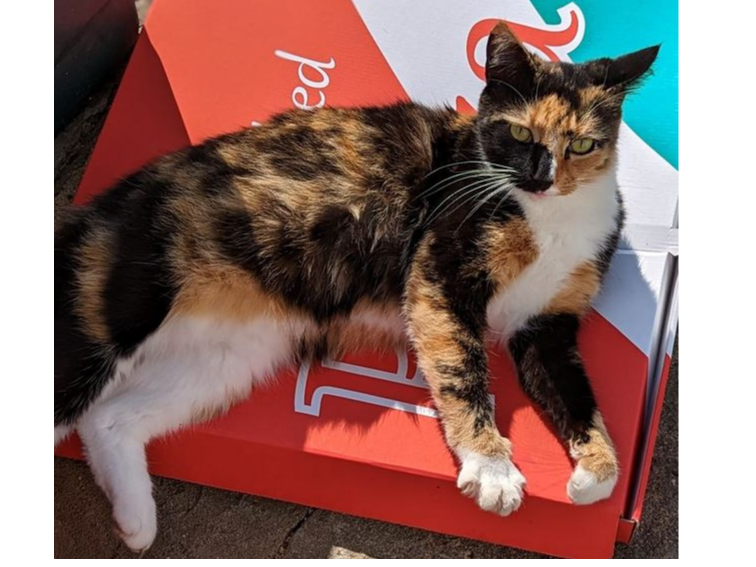 Matilda