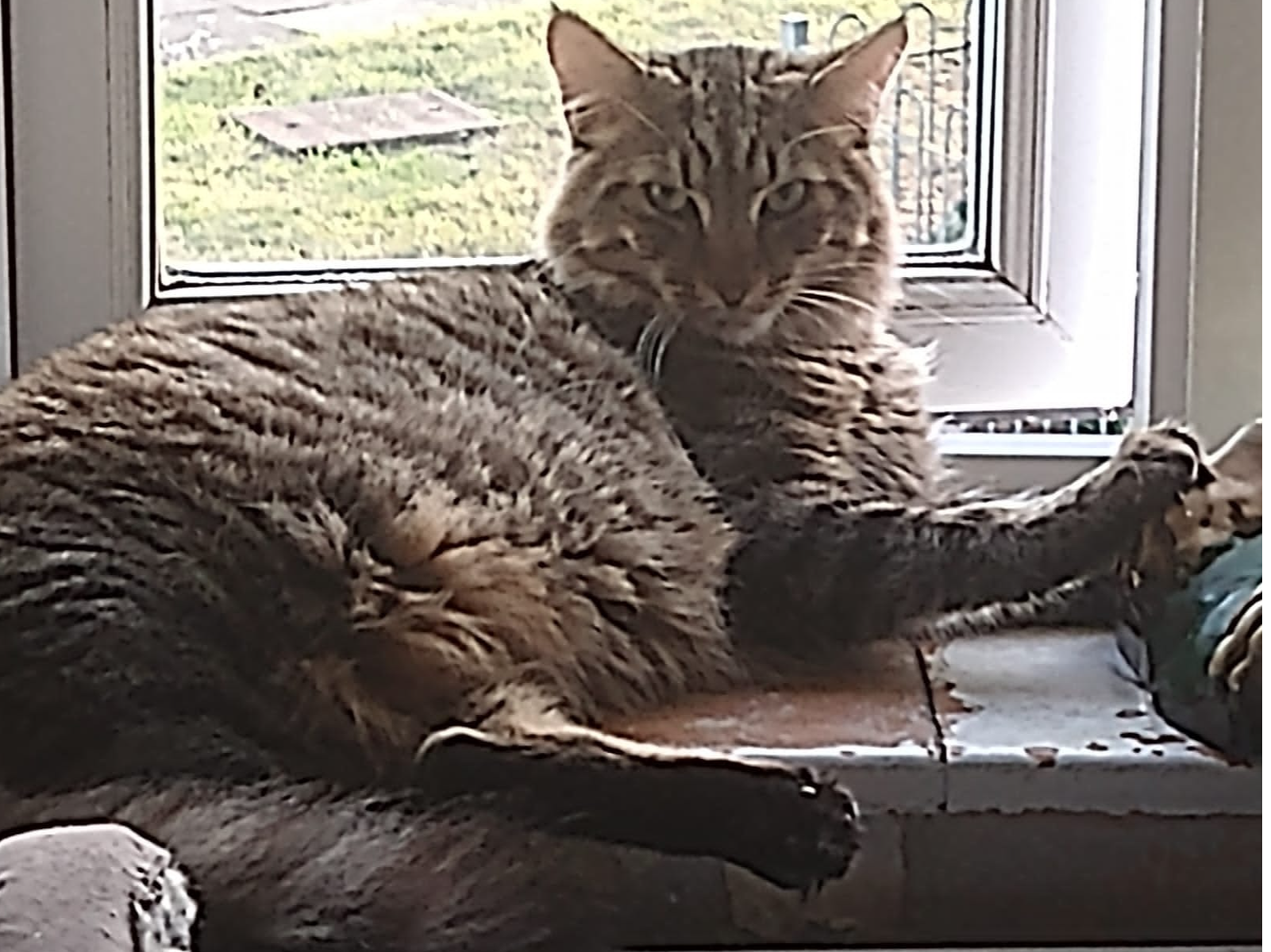 Max