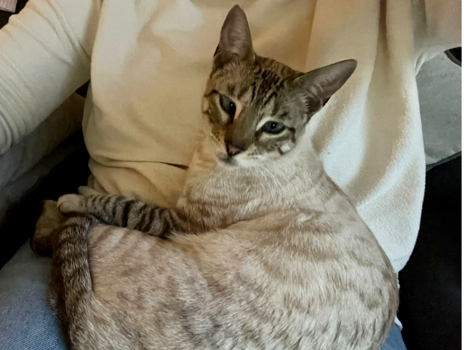 Delilah, Waterbeach