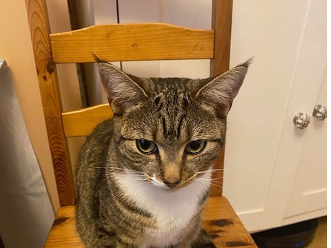 Freya
