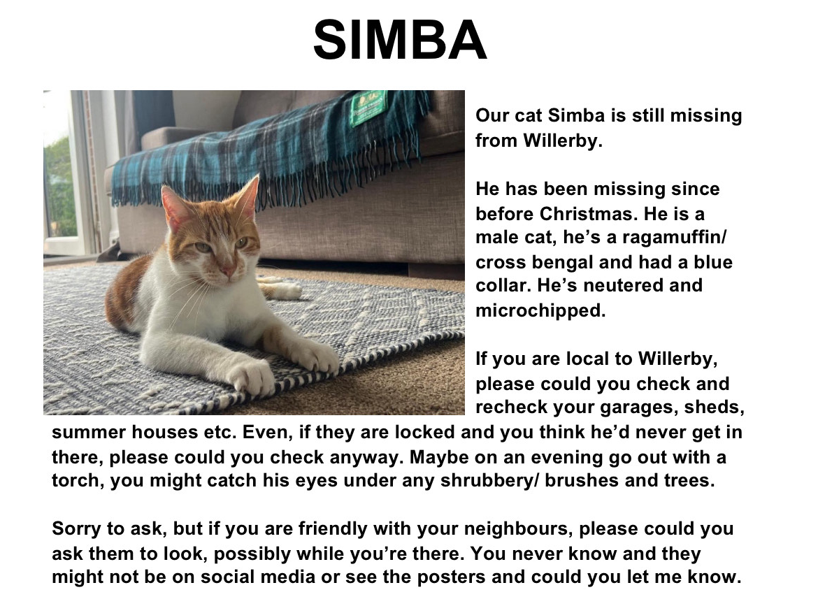 SIMBA Ginger and White