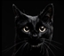 National Black Cat Day National Black Cat Day