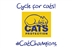 Cycle for cats! Cycle for cats!