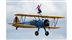 Wing Walking Wing Walking