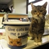 Street Collection - Volunteers Needed Street Collection - Volunteers Needed