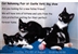 Castle Vet Dog & Cat Event Castle Vet Dog & Cat Event