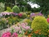 Cottesmore Farm Open Garden Cottesmore Farm Open Garden